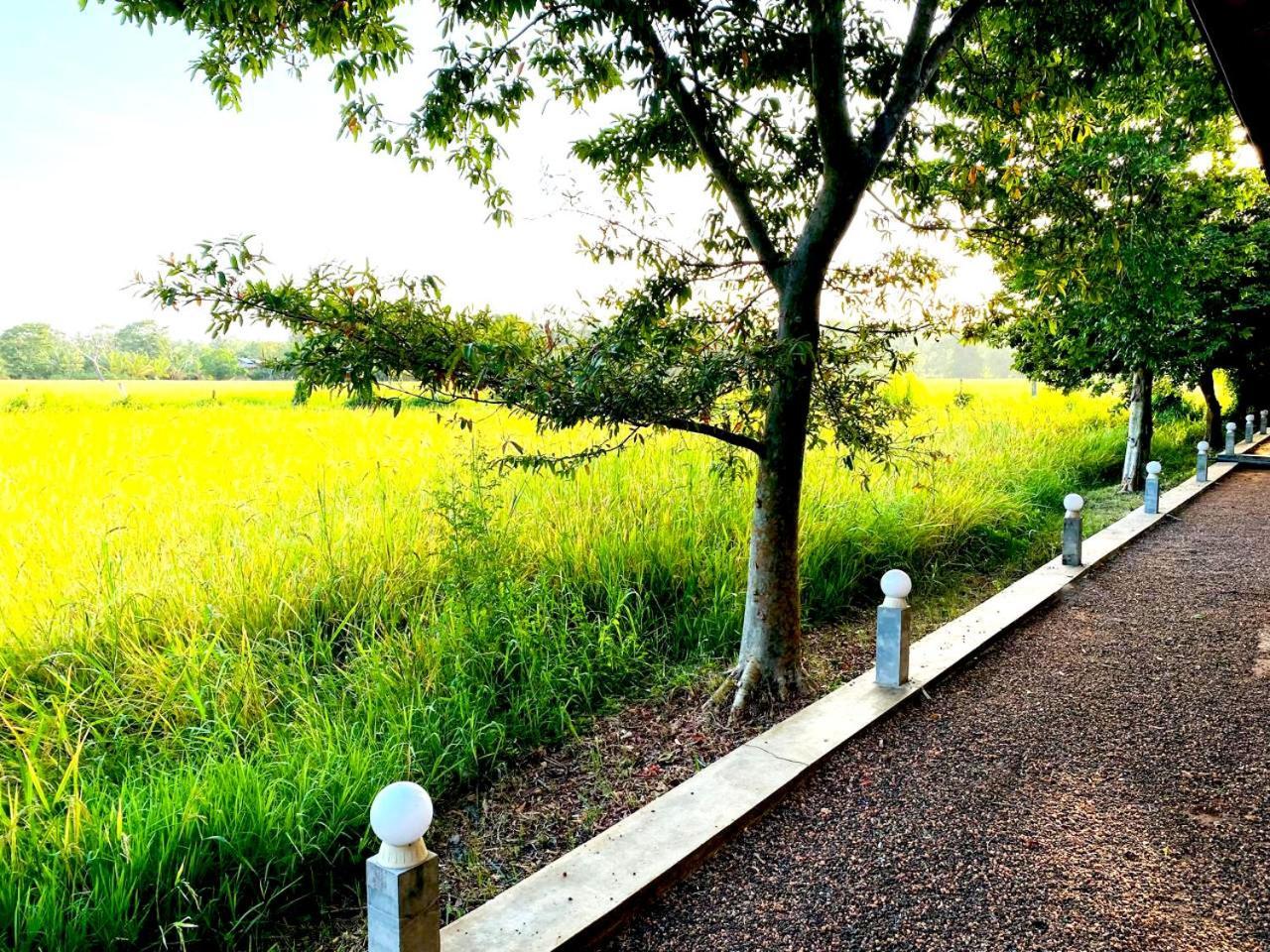 Athyantha Resort Anuradhapura Eksteriør billede