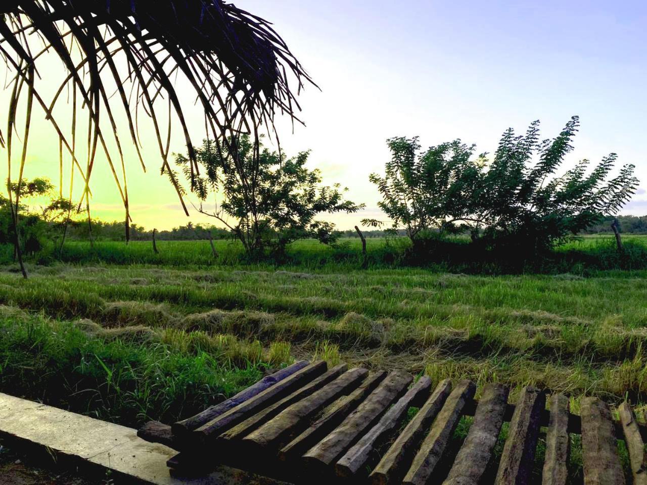 Athyantha Resort Anuradhapura Eksteriør billede