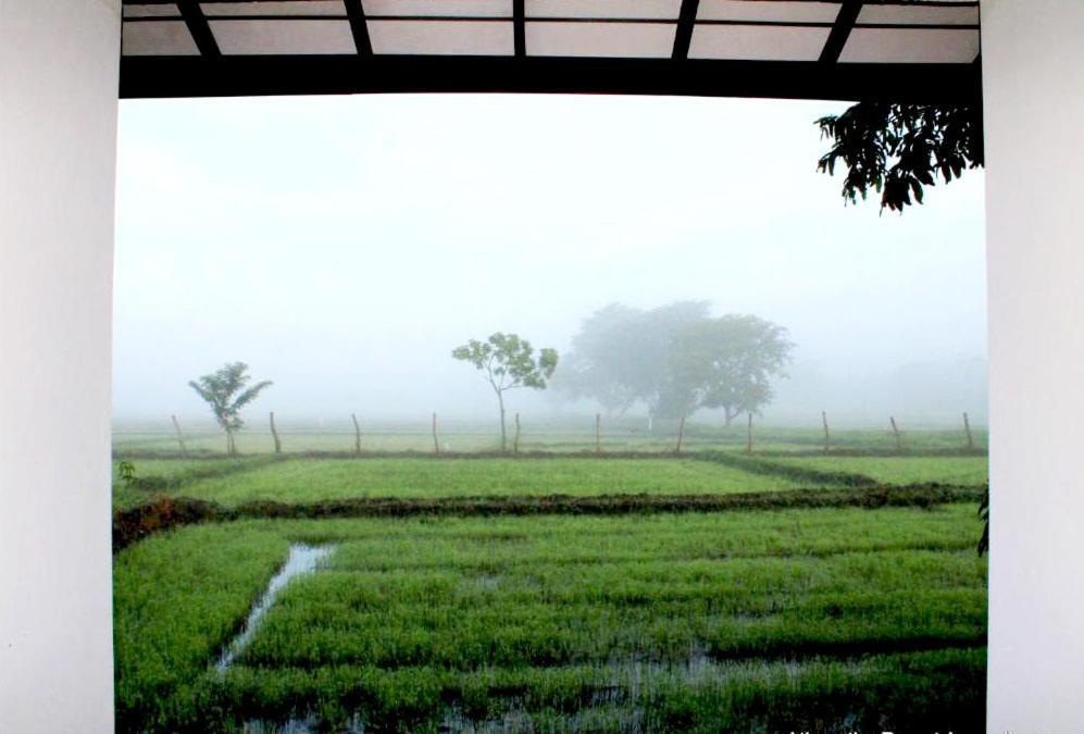 Athyantha Resort Anuradhapura Eksteriør billede